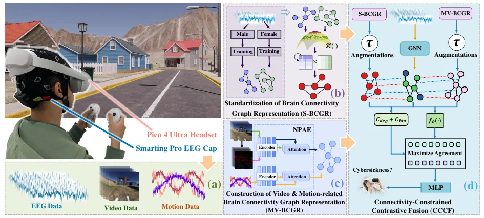 Figure 1: synchronized data collection, brain connectivity graph construction and connectivity-constrained contrastive fusion.
